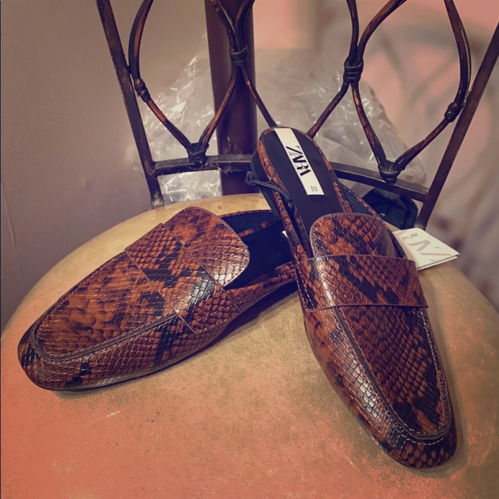 Zara Shoes
